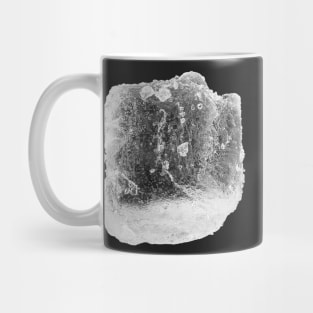 Sea salt under the microscope Mug